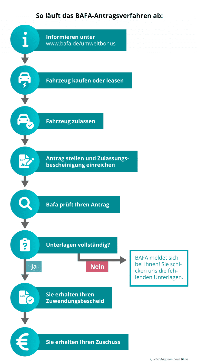 BAFA Förderung 2022 Schritt für Schritt Guide